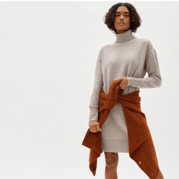 Everlane Cashmere Turtleneck Dress 